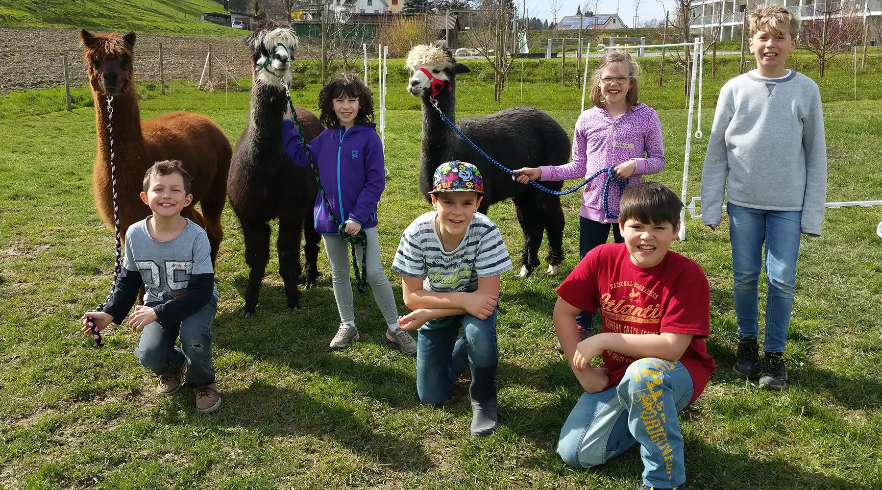 Kinder und Tiere_2