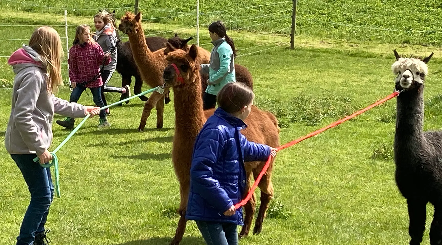 2.12_kindergeburtstag