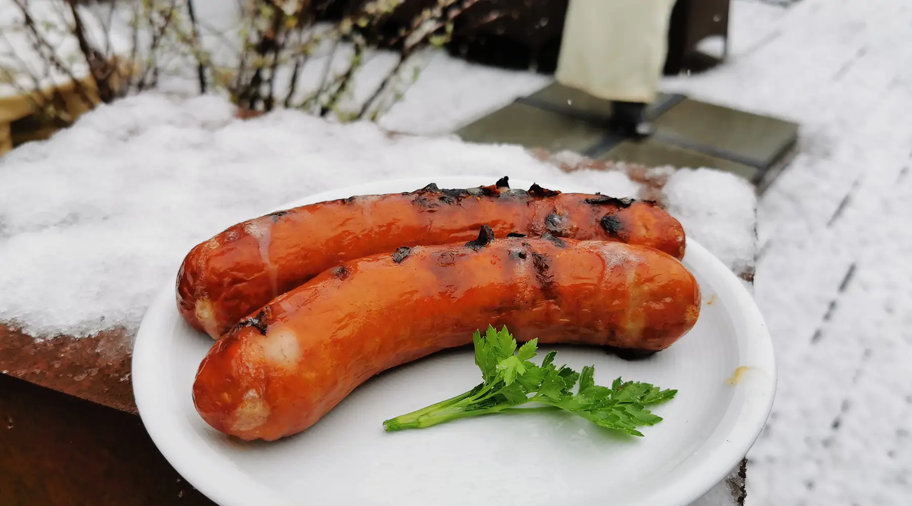 P66_wintergrillen